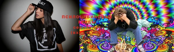 apvp Нефтекумск
