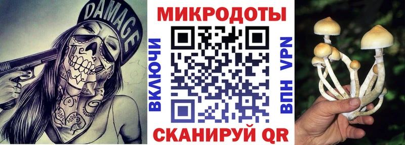 Галлюциногенные грибы Psilocybe Торопец