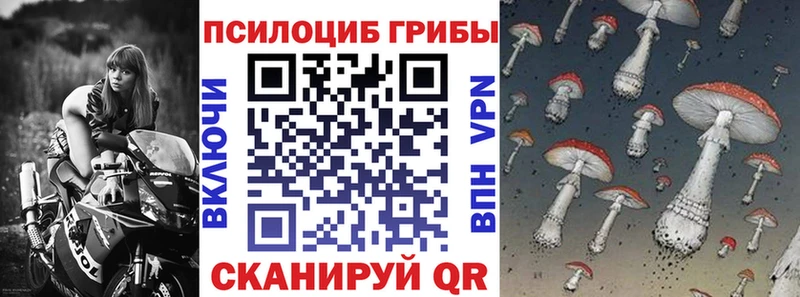 Галлюциногенные грибы прущие грибы  omg рабочий сайт  это какой сайт  Торопец 